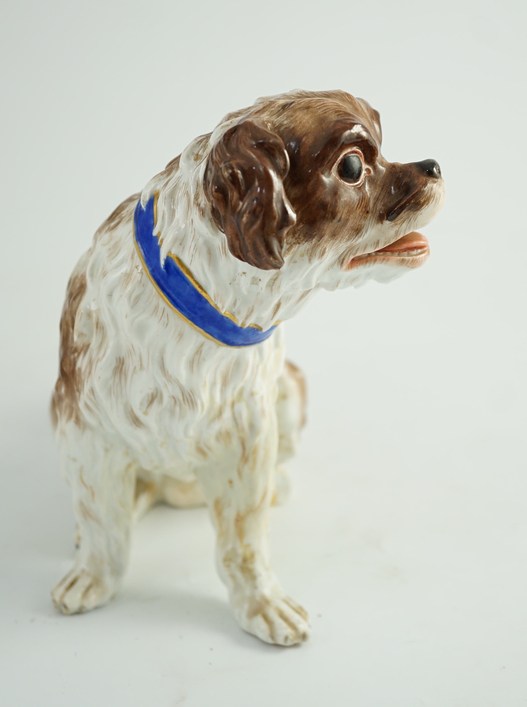 A Meissen seated figure of a German Wachtelhund (spaniel), 19th century, 19cm high, restoration and damage